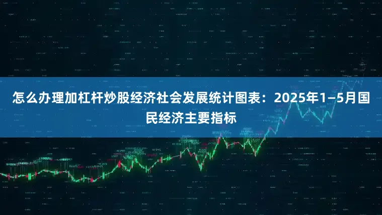 怎么办理加杠杆炒股经济社会发展统计图表：2025年1—5月国民经济主要指标