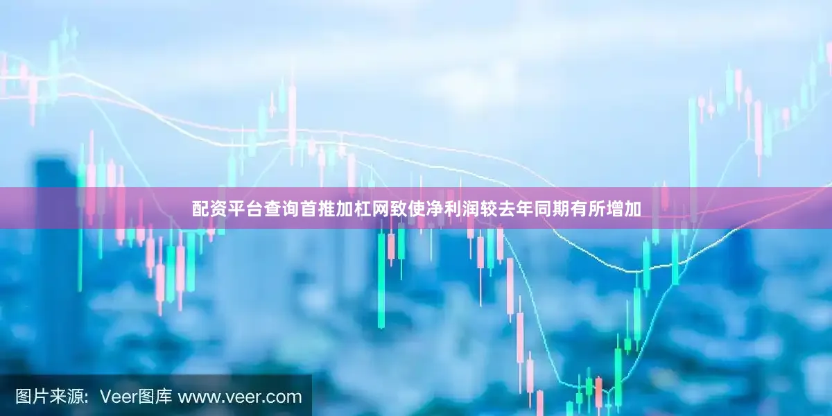 配资平台查询首推加杠网致使净利润较去年同期有所增加