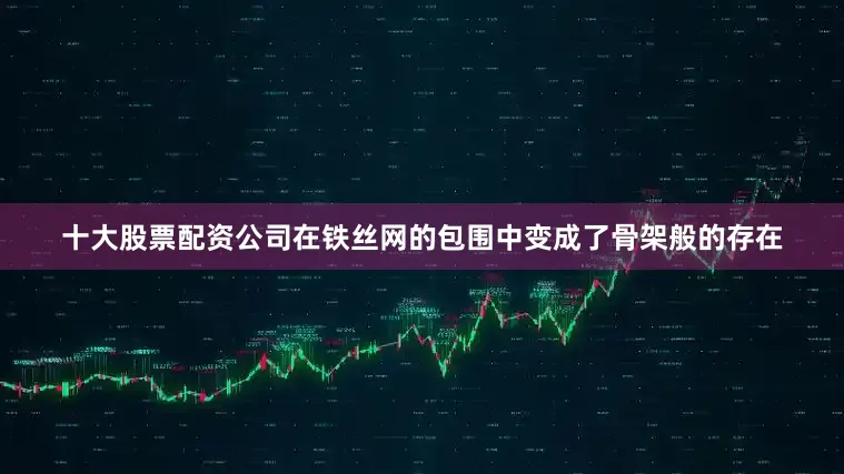 十大股票配资公司在铁丝网的包围中变成了骨架般的存在