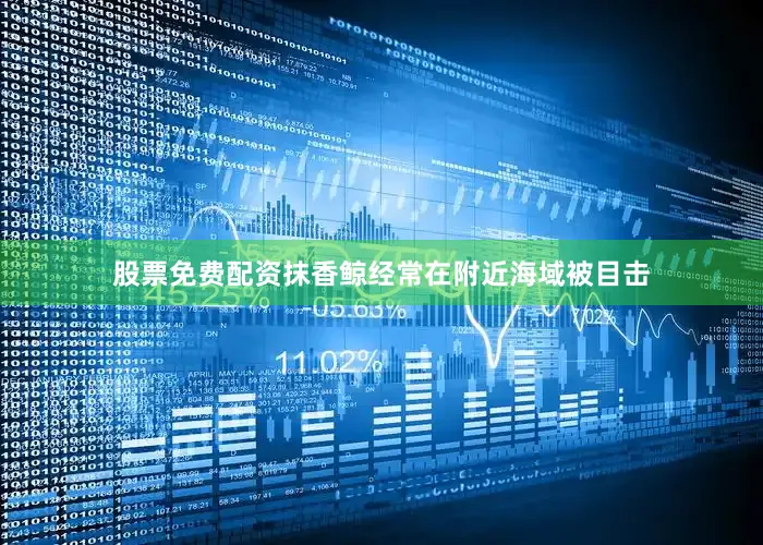股票免费配资抹香鲸经常在附近海域被目击
